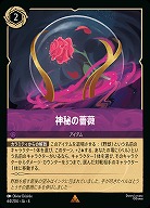 神秘の薔薇(ホイル) 【UR/64/204RH】